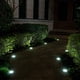 thumbnail image 4 of Paquete de 8 luces solares de suelo, 8 luces LED de suelo para jardín, impermeables, luces de paisaje al aire libre para camino, patio, terraza, patio, pasarela (luz blanca), 4 of 5