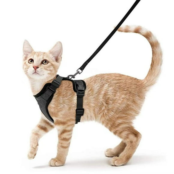 Safety belt cat dog belt adjustable kitten safety belt black S collar safety belt cat reflective breathable vest rabbit, European cat, Maine raccoon, Persian, belt buckle
