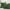 Army Green, variant on 2Pcs Christmas Chenille Soft Throw Pillow Covers,Decorative Square Pillow Covers with Stitched Edge