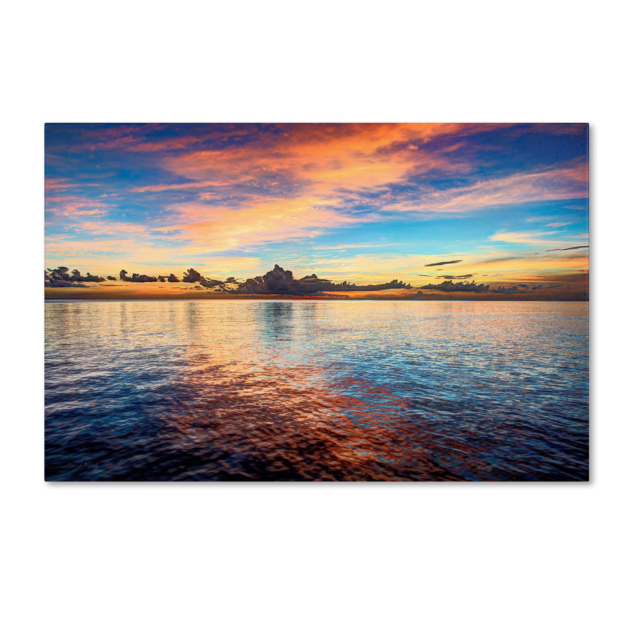 Trademark Fine Art "Carribean Sunset" Canvas Art by David Ayash