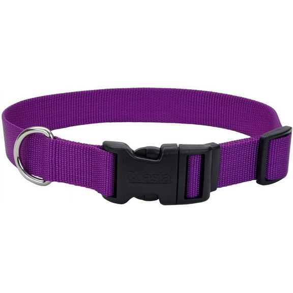Adjustable Dog Collar with Plastic Buckle, Purple, 3/8" x 8"-12"