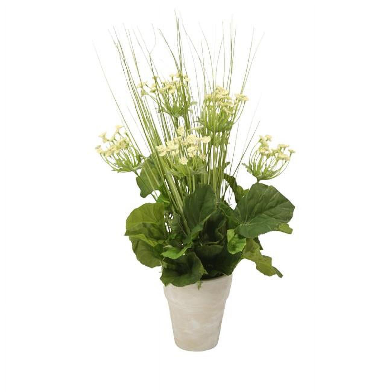 Disttive Designs DDA-703A Unisex Queen Anne Lace with Grass in Clay Pot - White - Pack of 2