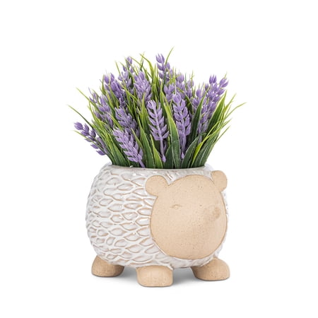 Set of 6 Small Hedgehog Planter