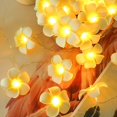 thumbnail image 4 of Luces de cadena de flores de plumeria artificial LED - Luz de flor de frangipani de espuma hawaiana, luz de cadena de hadas alimentada por USB para dormitorio, playa de bodas de cumpleaños Kuyhfg Sin marca, 4 of 5