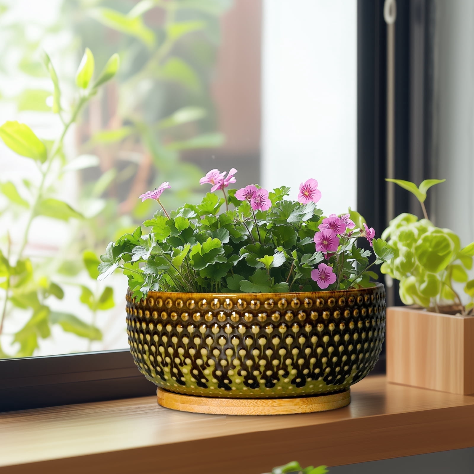 EPFamily 8 inch Brown-Green Succulent Planter Bowl with Drainage & Bamboo Saucer,Modern Ceramic Shallow Pots for Bonsai Trees, Cacti, Indoor Plants