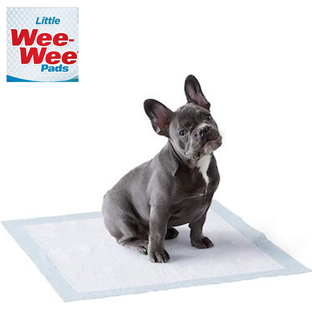 Wee Wee Pads Four Paws Deluxe Standard and Little Dogs Training Aids