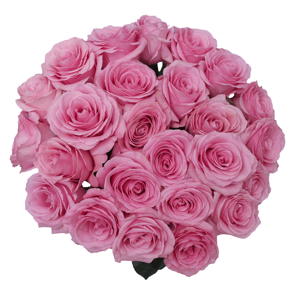 50 Stems of Pink Saga Roses- Fresh Flower Delivery - Walmart.com ...