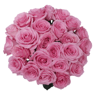 50 Stems of Gold Strike Roses- Fresh Flower Delivery - Walmart.com