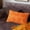 Saffron, variant on KUNPENG Fall Pumpkin Lumbar Throw Pillow Cover, 12x20 3D Plush Shaggy Decorative Cushion Case for Couch Sofa, Soft Fuzzy Halloween Thanksgiving Holiday Living Room Decor (1 PC, Cover Only)