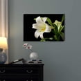 thumbnail image 2 of wall26 - Canvas Prints Wall Art - White Blooming Lily on a Black Background | Modern Wall Decor/Home Decoration Stretched Gallery Canvas Wrap Giclee Print. Ready to Hang - 24" x 36", 2 of 4