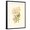 Black Frame, variant on Art.com Victorian Rose III Art Print by P^ Seguin-Bertault, 12" x 16"