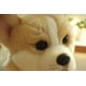 thumbnail image 2 of Set de regalo para bebés, peluche de perro Corgi de patas cortas, 2 of 5