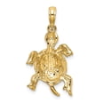 thumbnail image 4 of FB Jewels 14K Yellow Gold Turtle High Polish and Textured 2D Pendant, 4 of 4