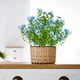thumbnail image 4 of Set de Flores Artificiales | Hojas de eucalipto y pensamientos | 5 piezas de ramo floral falso surtido | Seda y plástico realistas | Decoración interior y exterior | Arreglo realista de bajo, 4 of 6