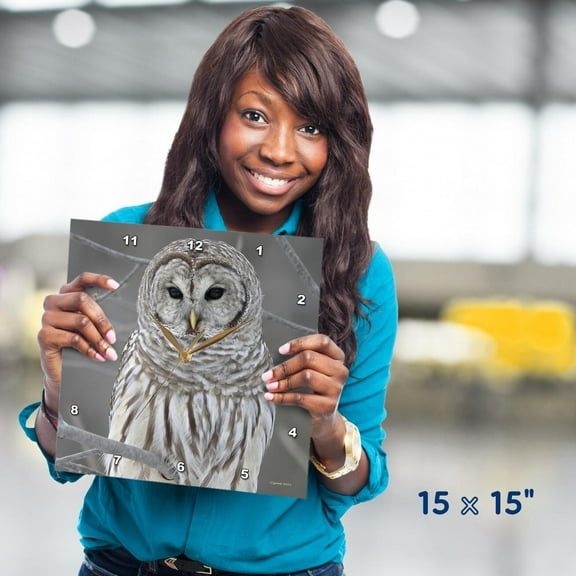 3dRose, Barred Owl, 15x15 Wall Clock