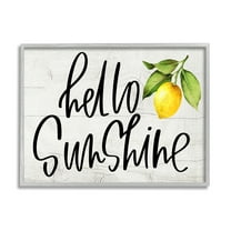 Stupell Industries Hello Sunshine Expression Soft Country Lemon Branch , 16 x 20, Designed by Valerie Wieners