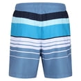 thumbnail image 2 of Regatta Mens Loras Striped Swim Shorts, 2 of 5