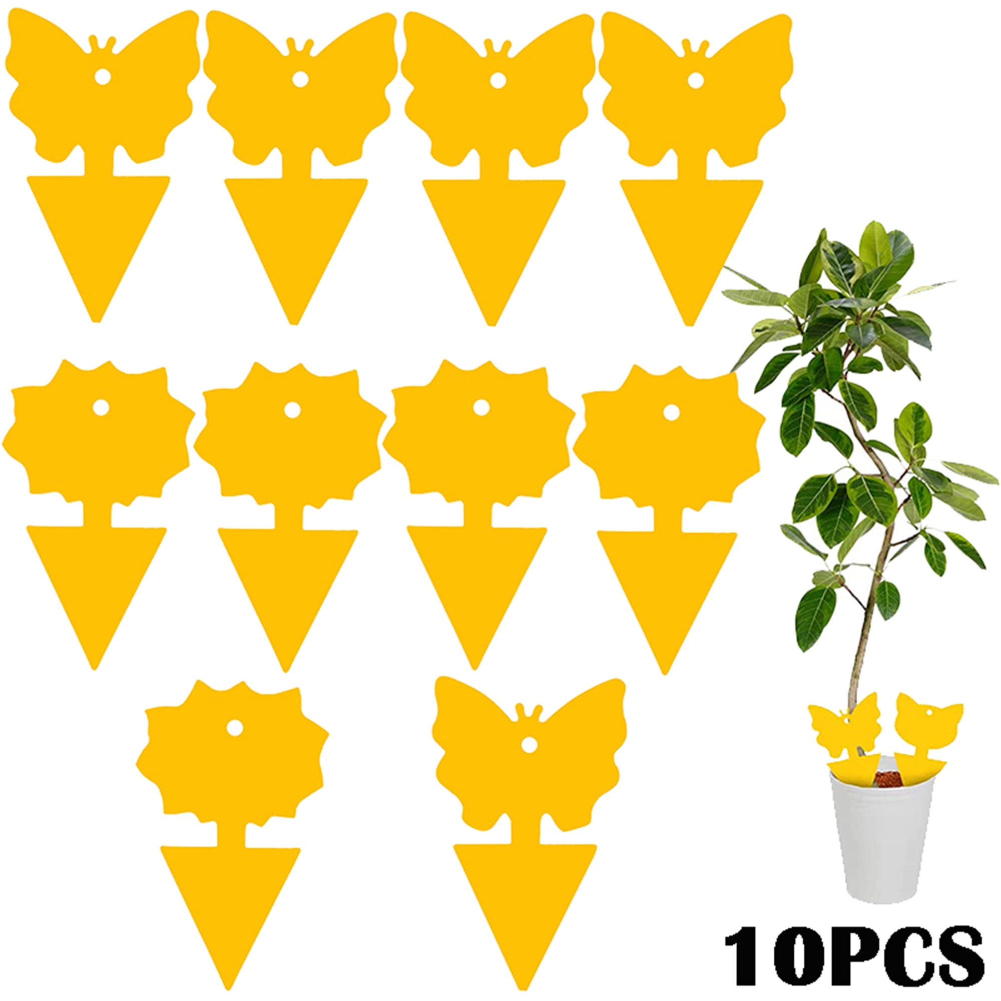 Elbourn Sticky Fly Traps Indoor 10 Pieces. Fly Paper Ant Glue Trap for