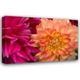 thumbnail image 1 of Maureen Love 44x31 Gallery Wrapped Canvas Wall Art Titled - Fuschia Dalhia V, 1 of 4