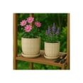 thumbnail image 3 of Decorative Flower Planter with Squoval Pattern and Saucer Plate - Home Decor Plant Pots for Indoor and Outdoor Styling - Perfect Plant Pots Accent for Plant Stand Indoor - Set of 2, 7", 6", Ivory, 3 of 13