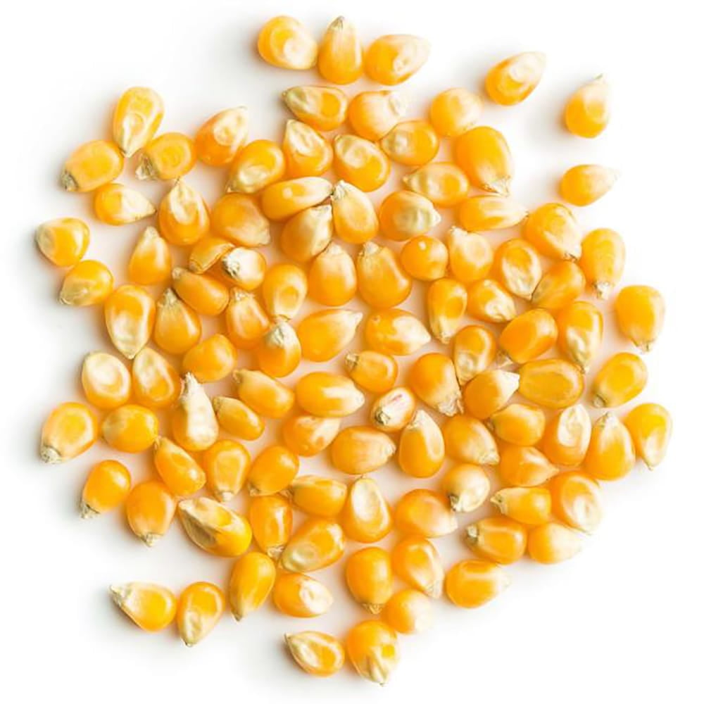 Organic Super Sweet Corn, 25 Pounds FreezeDried Kernels, NonGMO