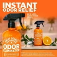 Angry Orange Pet Odor Eliminator with Citrus Scent for Strong Dog or