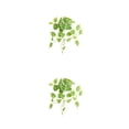 thumbnail image 3 of Hojas Falsas Vides Plantas Colgantes Artificiales Ounissouiy Tipo 2 50*40cm 2Conjunto, 3 of 6