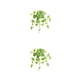 thumbnail image 3 of Hojas falsas Cateissary vides plantas colgantes artificiales 50*40cm 2Conjunto, 3 of 6