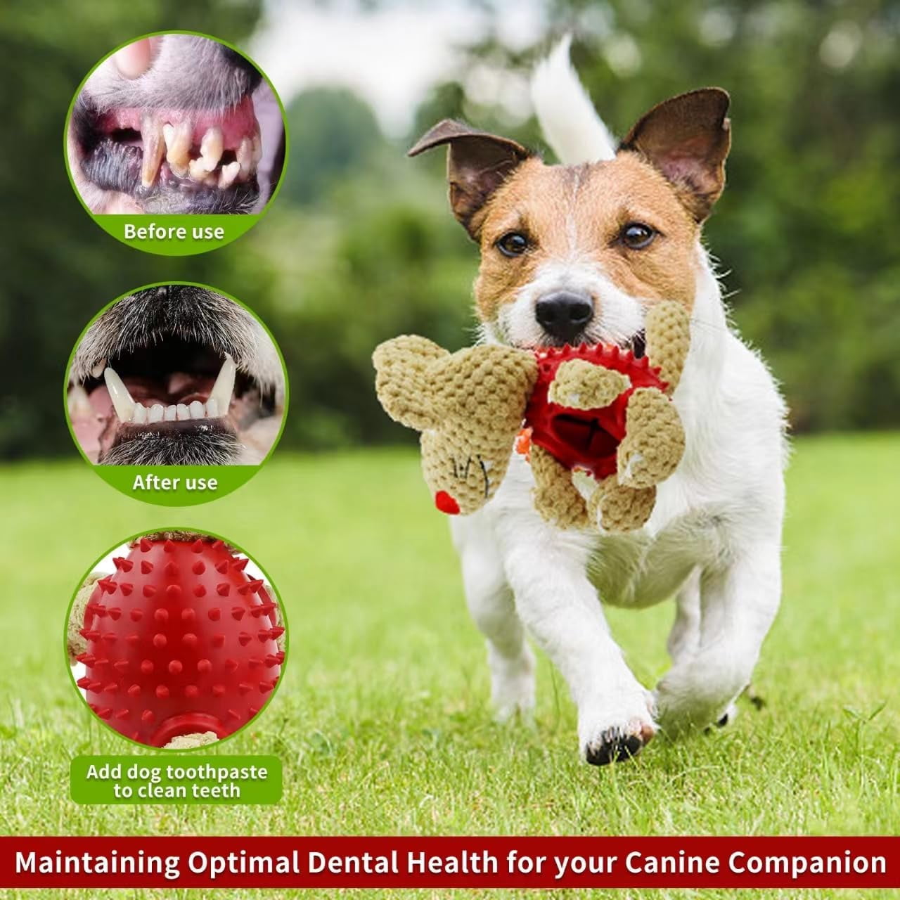 Dog Squeaky Toys, Interactive Durable Plush Dog Toy with Squeaker and Crinkle Paper, Natural Rubber Chew Puzzle Dog Toys  for Puppy Small Middle Large Dogs, Soft Pet Toys