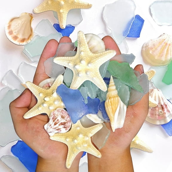 Decorative Sea Shells,Bexikou Mixed Beach Seashells with Starfish &Blue Sea Glass, White Decorative Seashell Decor & Blue Seaglass Pieces - Sea Shells Bulk - Shell Decorations