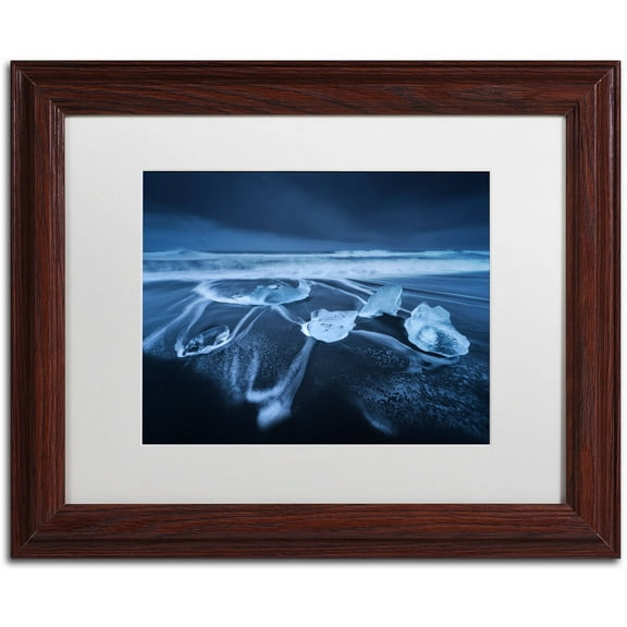 Trademark Fine Art "The Ice Age" Canvas Art by Mathieu Rivrin, White Matte, Wood Frame