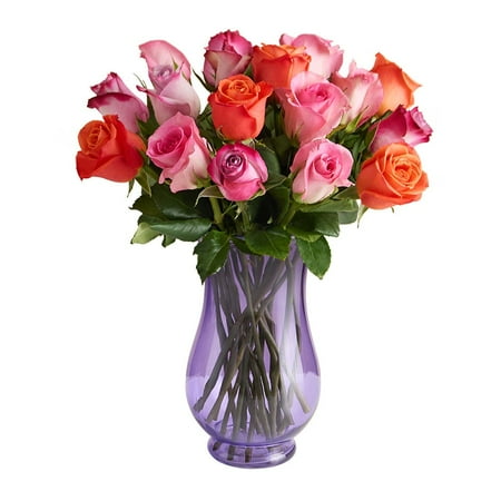 1800 Flowers – 18 Stem Sorbet Roses (Purple Vase Included) – Fresh Flowers for Delivery – Gift for Birthday Congratulations Get Well 1800 Flowers – 18 Stem Sorbet Roses (Purple Vase Included) – Fresh Flowers for Delivery – Gift for Birthday Congratulations Get Well