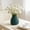 Blue, variant on Floral Arrangement Centerpiece, Small Lasting Vase for Fresh and Dried Flowers, Home Decor Mini Vase, Lightweight Plastic Flower Vase for Bedroom Kitchen Living Room