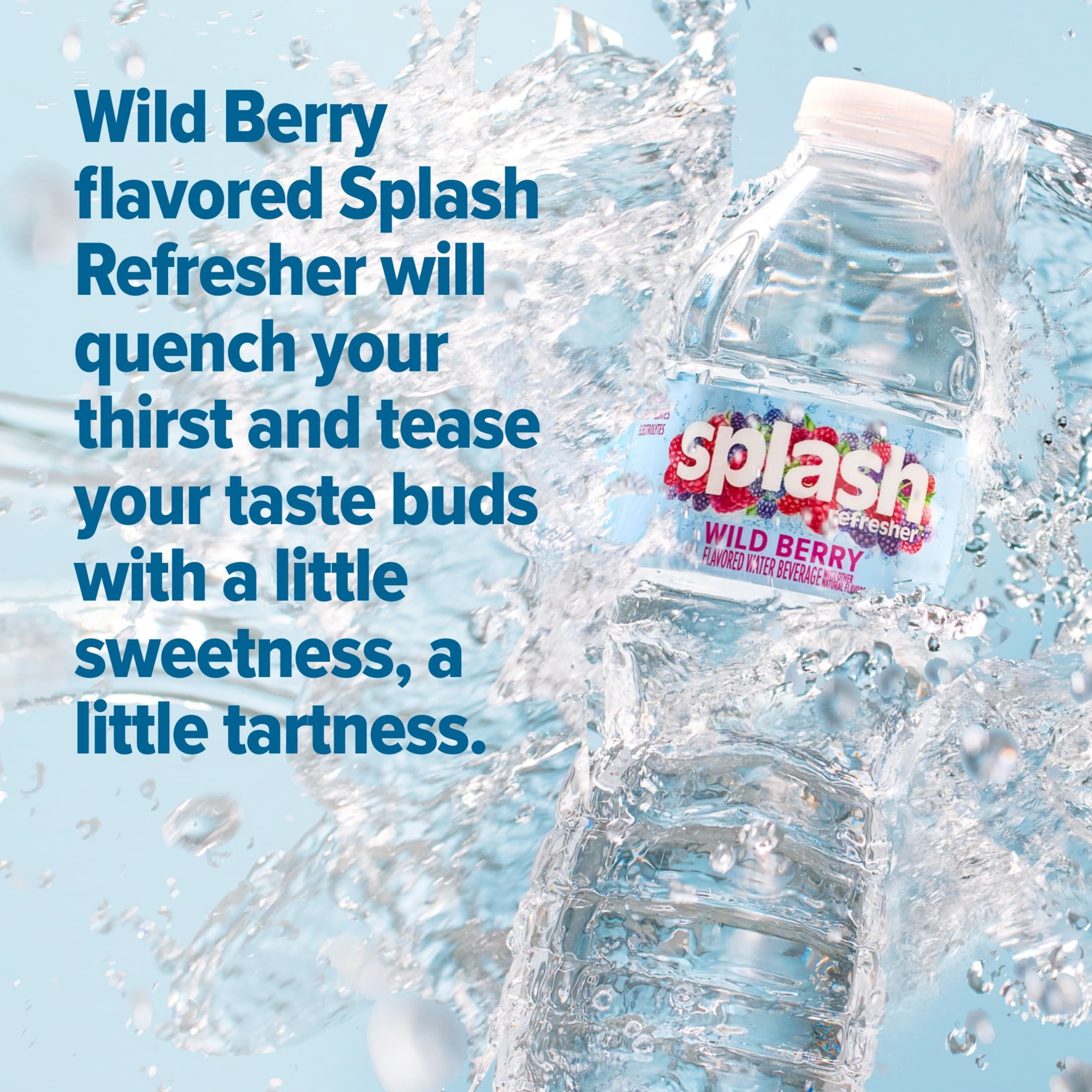 (2 pack) Splash Blast Wild Berry Flavored Water, 16.9 fl oz, 6-pack Plastic Bottles