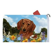 Dachshund Red - Best of Breed Summer Flowers Dog Breed Mail Box Cover