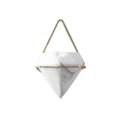 thumbnail image 1 of unique 1pcs Gardening potted plants, Creative Wall Hanging Flower Pot, 1 of 3
