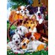 thumbnail image 1 of 30x40 Cm 5d Peinture Diamant Diy Complet, animal Cachorro Retrato De Familia Pegatinas De Diamantes Diy Diamond Strass Toile Point De Croix Pintura Par Numro, 1 of 5