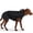 Black-X-Large, variant on Dog Raincoat Black X-Large Waterproof Jacket for Outdoor Walks and Muddy Roads