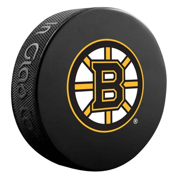 Boston Bruins Basic Collectors NHL Hockey Game Souvenir Puck