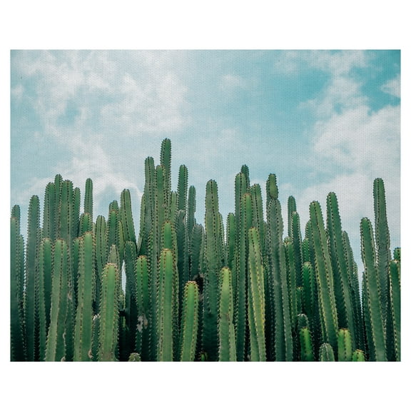 Masterpiece Art Gallery Cactus Greens Desert Sky By David Sola Canvas Art Print 22" x 28"