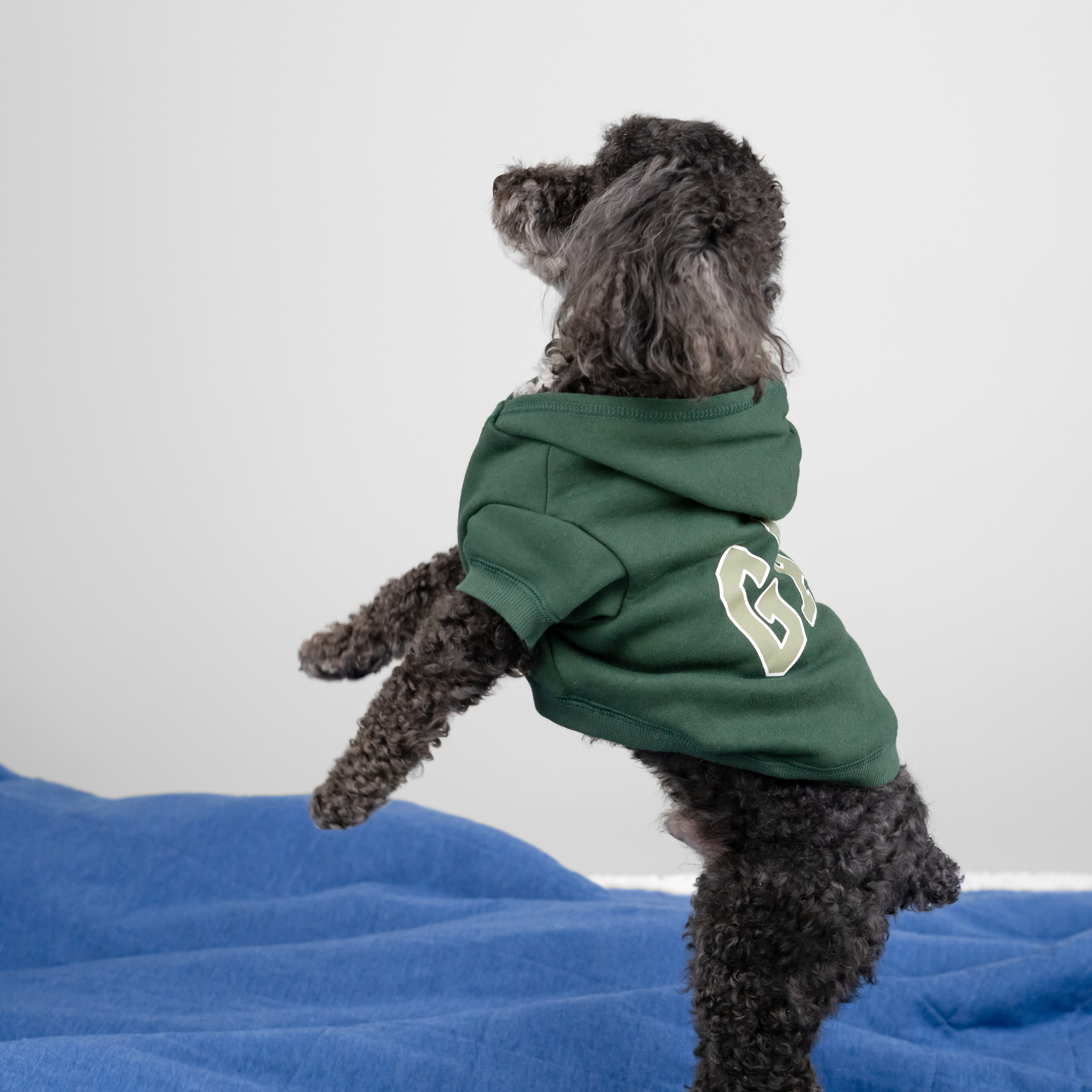 Gap Pet Dog Clothes, Classic Gap Logo Pet Hoodie, Green, Large