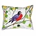 thumbnail image 3 of Betsy Drake NC164 Coussin Robin Sans Cordon 16 x 20 Po., 3 of 4