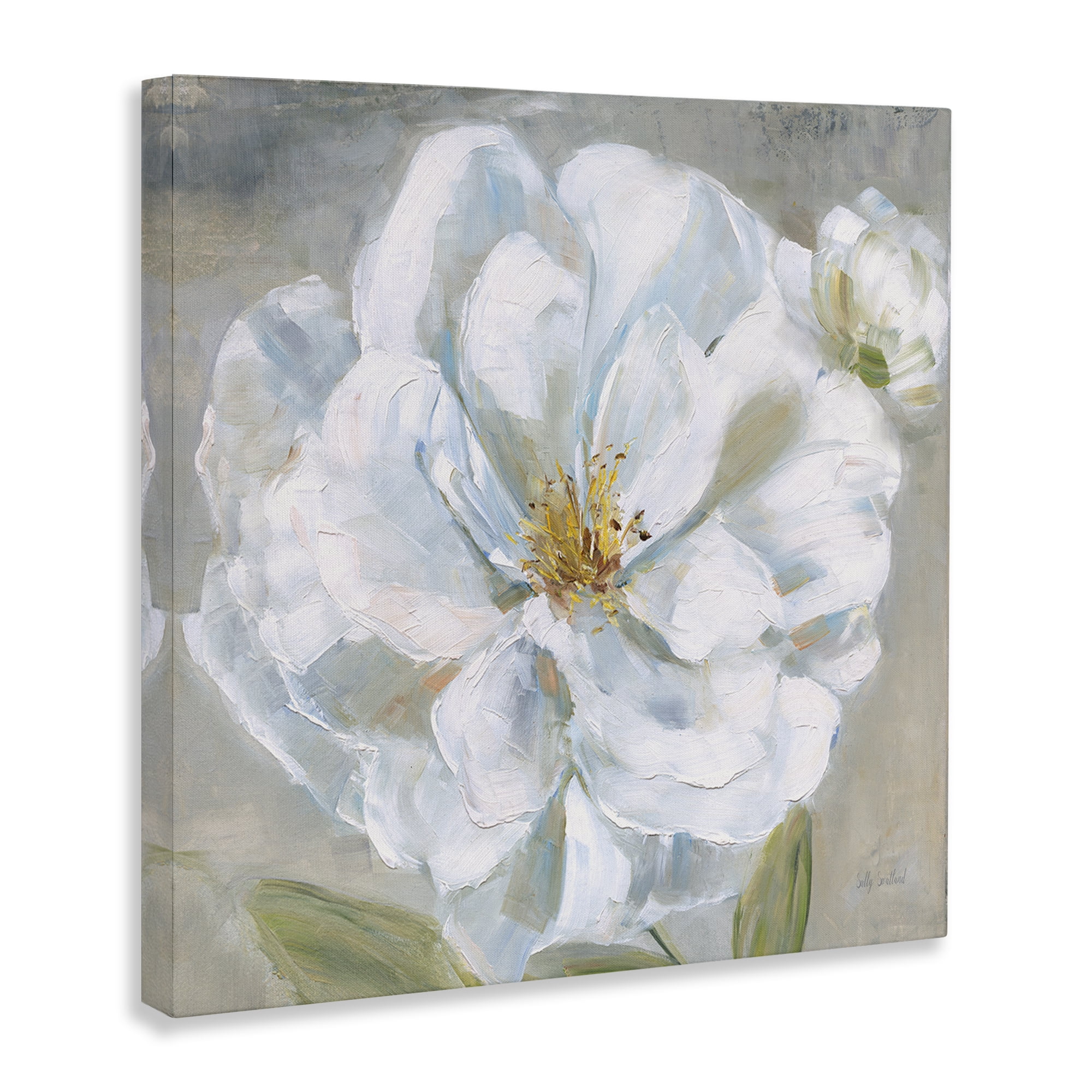 Stupell Industries Curling White Flower Petals Plants & Flowers Painting Wrapped Canvas Art Print Wall Art, 24 x 24
