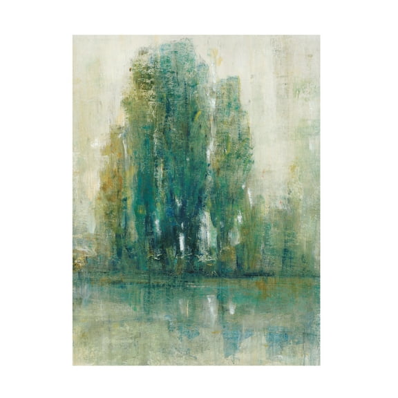 Tim O Toole 'Spring Paysage I' Canvas Art