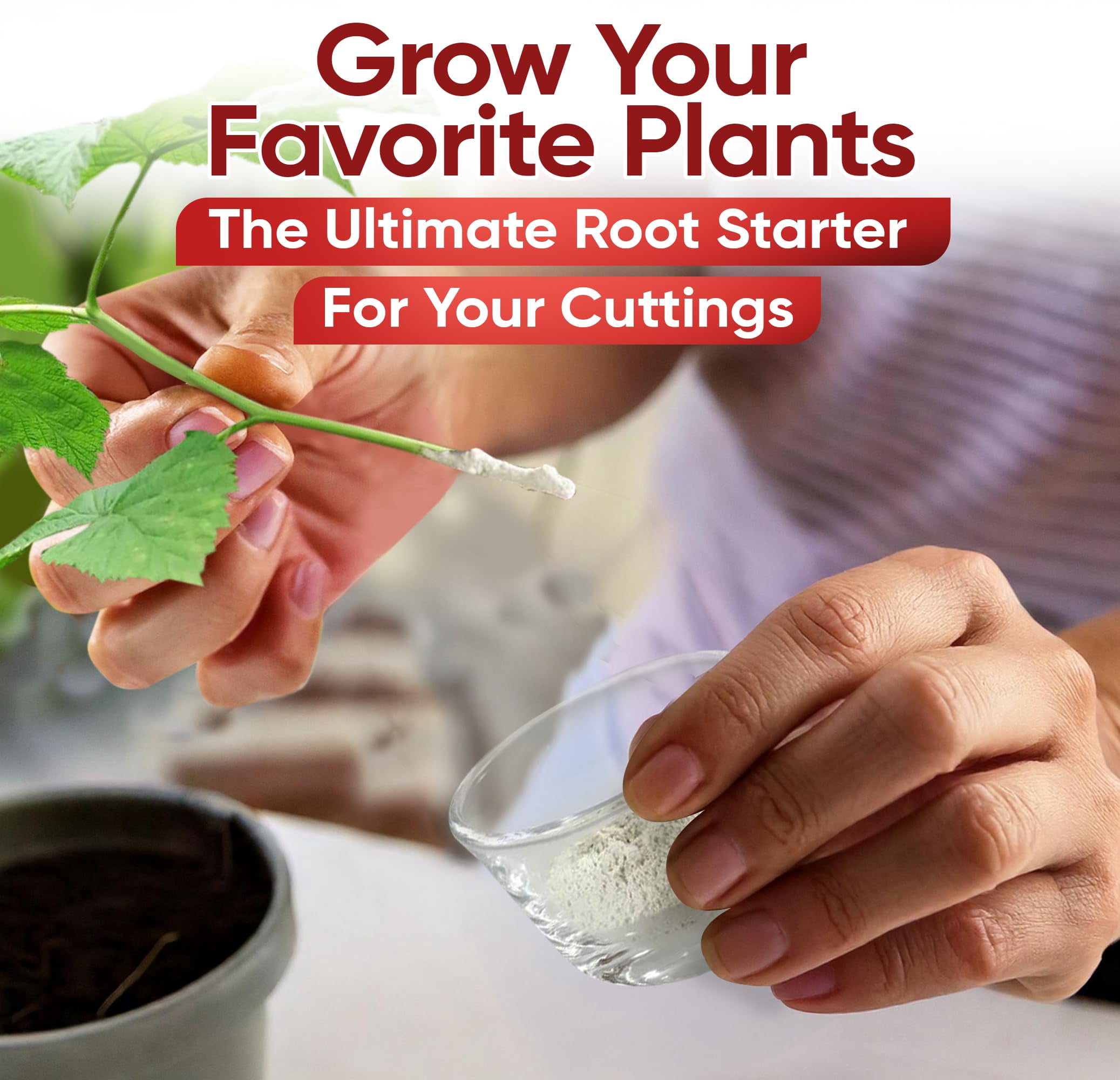 Hormex Rooting Hormone Powder #16 (1.60% IBA) for Difficult Hardwood Plants & Trees - Maximum Strength Root Stimulator for Woody Cuttings, Cloning, & Propagation