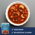 thumbnail image 3 of ( 2 Pack ) Progresso Cheese Tortellini in Garden Vegetable Tomato Canned Soup, 18.5 oz, 3 of 5