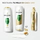thumbnail image 5 of Shampoo Pantene Pro-V Restauración 300 ml, 5 of 5