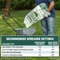 Pennington Smart Seed Sun & Shade Southern Grass Seed Mix, for Sun to