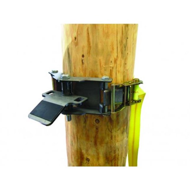 Portable Winch PCA1269 50 mm x 3 m Tree Mount Winch Anchor with Strap