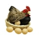 thumbnail image 5 of Estatuilla de simulación perfecl decoración al aire libre de Pascua con 6 huevos, 5 of 8